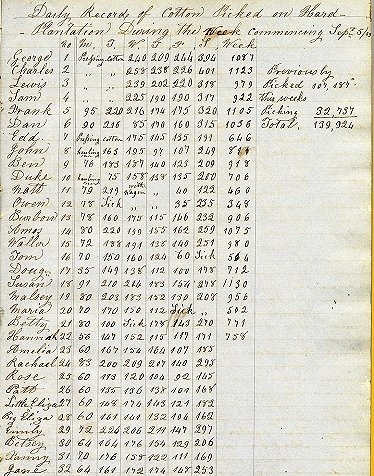 Diary of a Slave Overseer, Weekly Totals of Cotton Picked